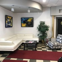 VIP Palm Harbor Dentist