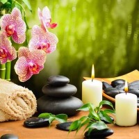 Lavender & Lilac Asian Massage