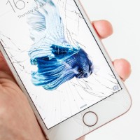 Gallery thumbnail