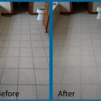 Bluegreen Carpet And Tile Cleaning