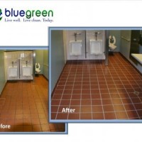 Bluegreen Carpet And Tile Cleaning