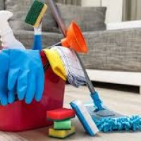 AEL Cleaning Services Llc