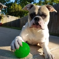 Gallery thumbnail