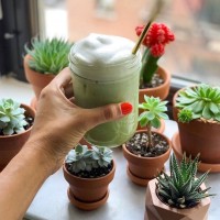 Gallery thumbnail