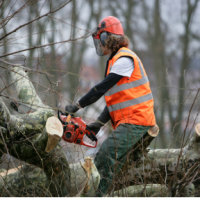 Stallworth s Tree Service Huntsville