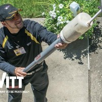 Witt Pest Management