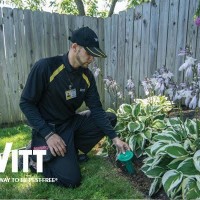 Witt Pest Management