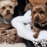 Gallery thumbnail