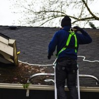 PDX BROTHERS Roof Cleaning