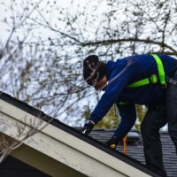 PDX BROTHERS Roof Cleaning