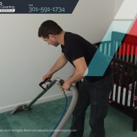 Hippo Carpet Cleaning Rockville