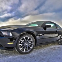 Gallery thumbnail