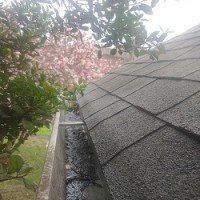 Clean Pro Gutter Cleaning Waterbury