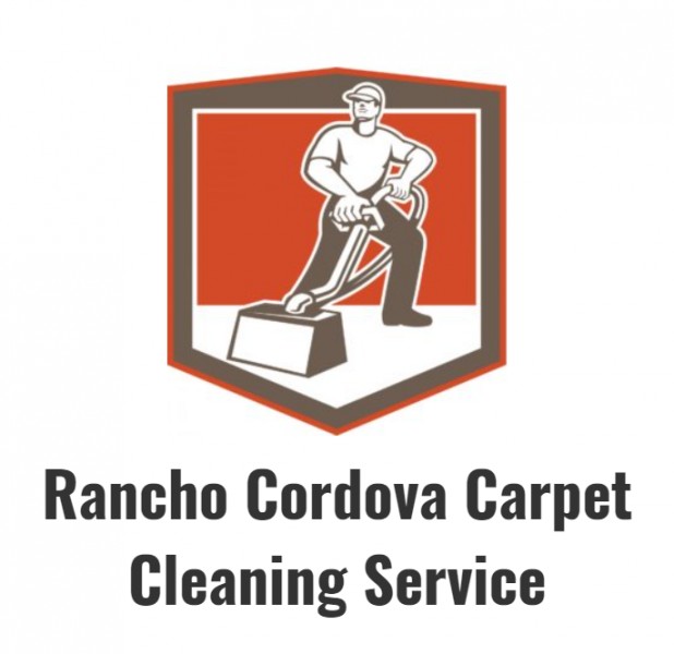 RC CARPET CLEANER
