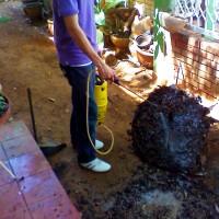 Galería en miniatura