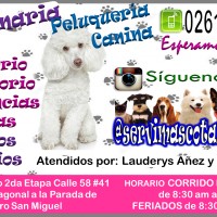 Veterinaria Peluquería Canina Tienda para Mascotas