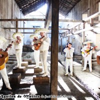 MARIACHI AGUILAS DE MéXICO